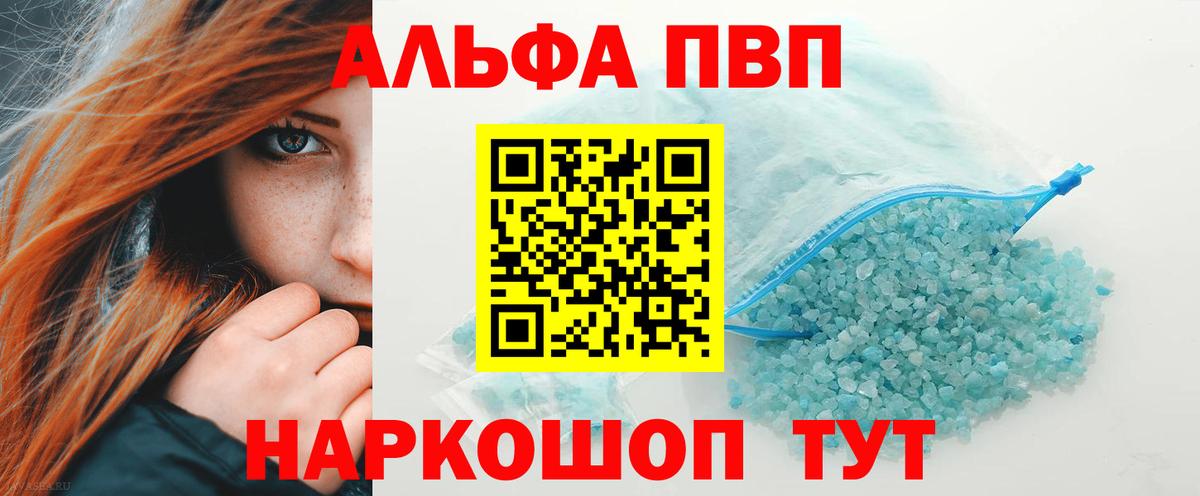 Альфа ПВП СК Каменка