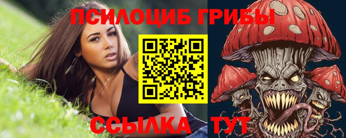 Галлюциногенные грибы Psilocybe Каменка